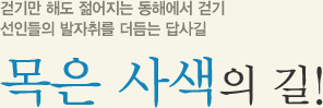 걷기만 해도 젊어지는 동해에서 걷기 선인들의 발자취를 더듬는 답사길, 목은 사색의 길!