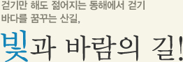 걷기만 해도 젊어지는 동해에서 걷기 바다를 꿈꾸는 산길, 빛과 바람의 길!