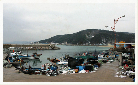 하저리 전경