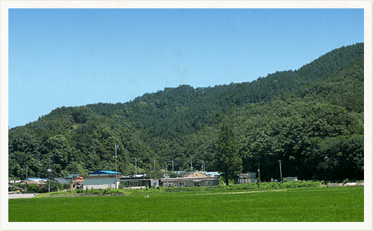 금호리 전경