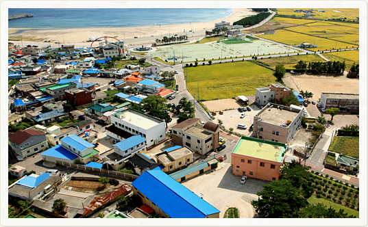 병곡리 전경