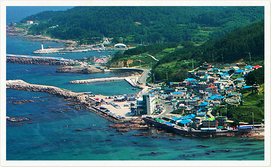 대진리 전경