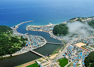 강구항
