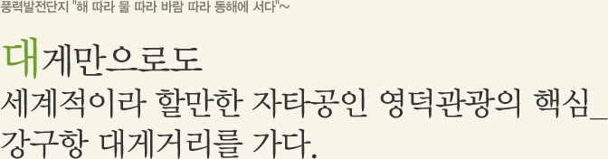 풍력발전단지 해 따라 바람 따라 동해에 서다~ 대게만으로도 세계적이라 할만한 자타공인 영덕관광의 핵심_ 강구항 대게거리를 가다.