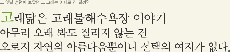 그 옛날 성현이 보았던 그 고래는 어디로 간 걸까? 고래닮은 고래불해수욕장 이야기 걸어가는 길과, 차로가는 길이 대비될 뿐 아무리 오래 봐도 질리지 않는 건 오로지 자연의 아름다움뿐이니 선택의 여지가 없다.