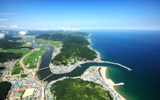 강구항